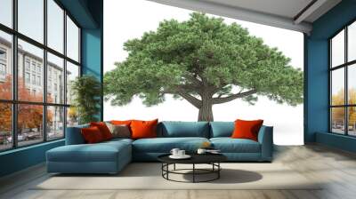 Isolated 3D render of a majestic pine tree with lush green foliage and a thick trunk. on background  Wall mural