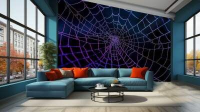 Light spider web isolated on black background for Halloween card Wall mural