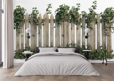 Old wooden fence with ivy and hanging plants on it isolated on transparent or white background   Wall mural