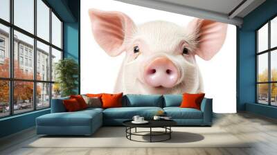 Portrait of a cute happy pig isolated on white background, concept of happy farm, healthy life, funny animal portrait on white background.  Wall mural