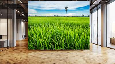 green farm clear blue sky Wall mural