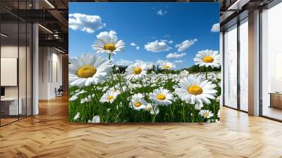 A field of daisies in full bloom, with white flowers swaying gently in the wind under a sunny sky Wall mural