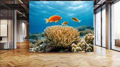 Coral reef teeming with marine life, with fish swimming in and out of the nooks and crannies of the reef Wall mural