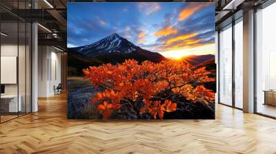 Mountain sunrise in autumn, where the first light of day hits the autumn foliage and snowy mountain peaks, creating a dramatic, colorful landscape Wall mural