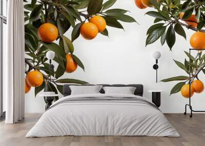 orange branch with leaves on white background  Wall mural