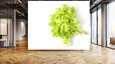 Top view Green oak leaf vegetable  Healthy Food for salad isolated on white background Wall mural