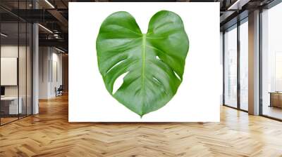 Monstera leaf on white background Wall mural