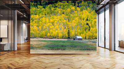 house among aspen tree Wall mural