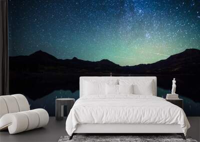 milky way reflection at william's lake,colorado Wall mural