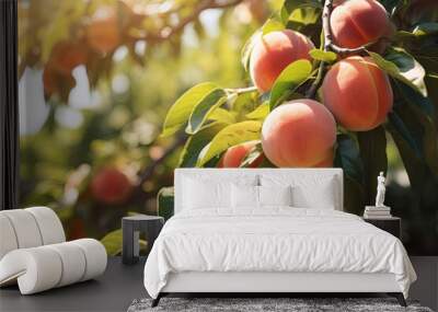 Bountiful harvest. Ripe summer fruits on tree. Nature bounty. Fresh and juicy peaches on branch. Agricultural delight. Healthy and delicious peach Wall mural