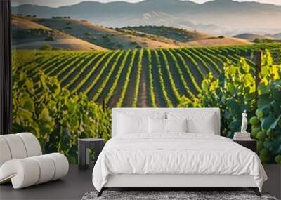 Lush Vineyard Landscape with Rows of Grape Vines and Rolling Hills Under Bright Blue Sky Wall mural