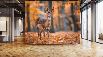 Majestic Deer Amid Autumn Foliage in Serene Forest Landscape Wall mural