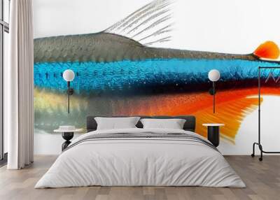 Vibrant and Glowing Neon Tetra Fish with Striking Blue and Red Stripes Wall mural