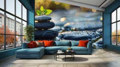 Wellness and Meditation Concept with Nature Elements for Health and Self Care Wall mural