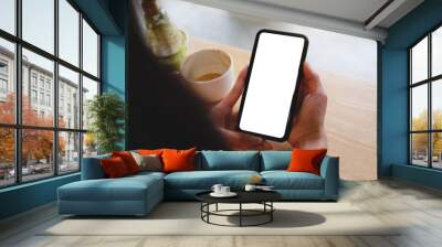 Close up of women's hands holding cell telephone with blank copy space scree for your advertising text message or promotional content, hipster girl watching video on mobile phone during coffee break Wall mural