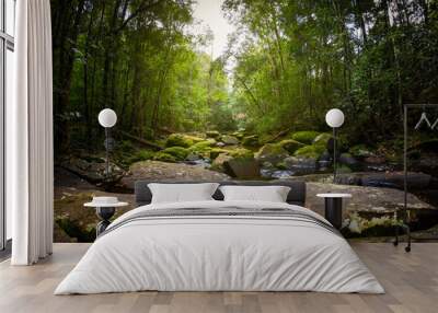 Waterfalls, streams in evergreen forest. Gives a cool shady feeling. Wall mural