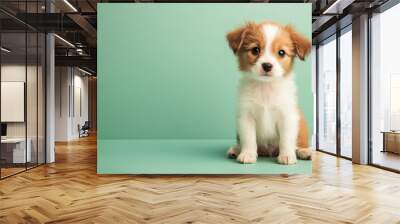 Adorable Puppy Plush Sitting on Light Green Background Wall mural