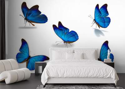 fifth blue butterfly Wall mural