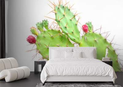 Opuntia cactus Wall mural