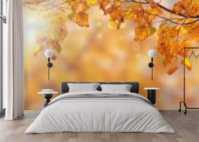 Autumn yellow leaves of linden tree in autumn park. Fall background Wall mural