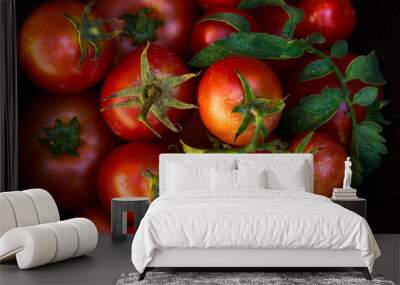 red ripe tomatoes in metal bowl on old red wooden table in garden on sunny day Wall mural