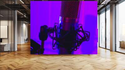 Close the studio condenser microphone with antivibration support real-time with blue and red backlight. Zoomed view, close-up. Wall mural