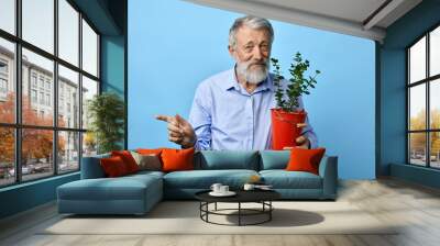 handsome man with flower in his hands pointing at somewhere, copy space. close up portrait, isolated light blue background. house flower. Wall mural