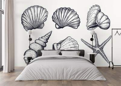 Minimalist hand drawn seashells vector illustration collection. Art for greeting cards, wedding invitations, poster design, postcards, branding, logo design, background Wall mural