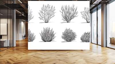 Set of vector bush illustrations on a white background. Architectural Drawings, Minimal style cad bush drawing, Side view, set of graphics bushes elements outline symbol for landscape design drawing Wall mural