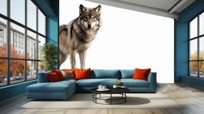 Wolf isolated on white background, Generative AI Wall mural