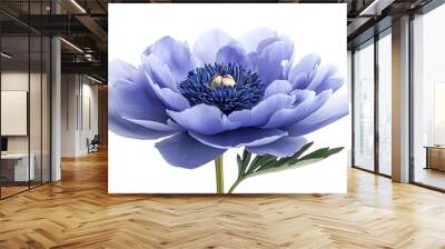 Bluepurple  peony flower  on white isolated background with clipping path Closeup For design Nature : Generative AI Wall mural