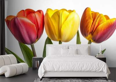 Bouquet from Three Tulips isolated on White Background : Generative AI Wall mural