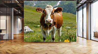 Close up of a brown and white cow on a green alpine meadow High quality photo : Generative AI Wall mural