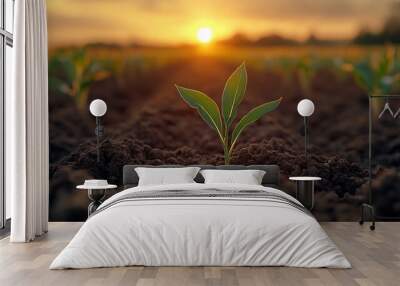 corn field leaf sprout green agriculture fresh corn sprout agriculture field row field sunset Crop enterprise up maize soil green warm sun sprouts cornfield point young agriculture eco : Generative AI Wall mural