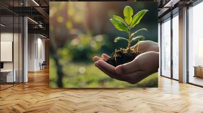 environment Earth Day In the hands of trees growing seedlings Bokeh green Background Female hand holding tree on nature field grass Forest conservation concept : Generative AI Wall mural