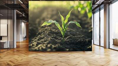 farmer field land corn tablet fresh corn sprouts grow farm green young sprout agriculture bloom blooming female bean air technology nature communication field seeding activity accuracy : Generative AI Wall mural