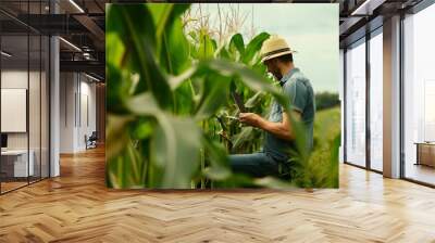 Farmer man in corn field works Business Farm Farmer with laptop in green corn field Agriculture concept Modern digital technologies Worker works on farm Agronomist on farm Silhouette : Generative AI Wall mural