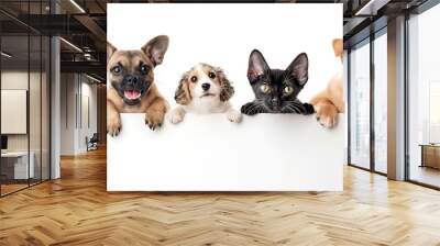 Generative AI : Funny happy dogs and cats peeking over blank white web banner Wall mural