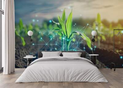 Maize seedling in cultivated agricultural field with graphic concepts modern agricultural technology digital farm smart farming innovation : Generative AI Wall mural