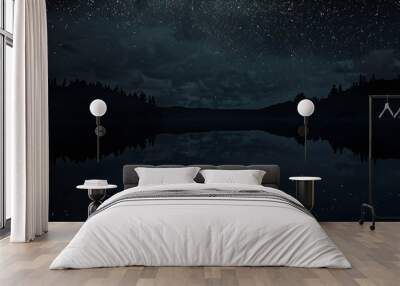 Night sky over a lake in northern Ontario : Generative AI Wall mural