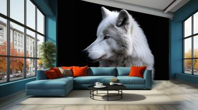 Portrait of arctic wolf isolated on black background Polar wolf : Generative AI Wall mural