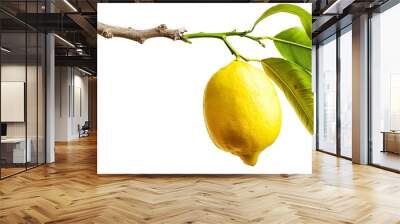 Rough lemon Tahiti or citrus jambhiri lemon hang on tree branch with green leaf isolated on white background : Generative AI Wall mural