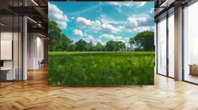 Scenic view of the park with green grass field in city and a cloudy blue sky background Beautiful green park : Generative AI Wall mural