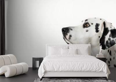 Side view of a Dalmatian dog looking proudly away isolated on white : Generative AI Wall mural