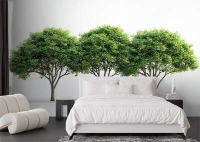 Trees isolated on white background tropical trees isolated used for design advertising and architecture : Generative AI Wall mural