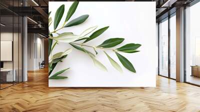 Two fresh olive branches with leaves isolated on white background closeup : Generative AI Wall mural