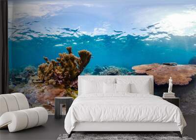 360 of fish swimming through coral reef Wall mural