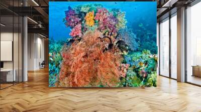 Black crinoid on colorful coral Wall mural