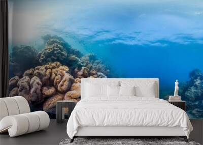 Healthy coral reef panorama Wall mural