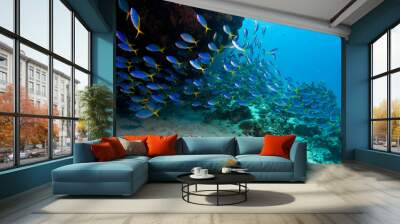 School of fish on reef Wall mural